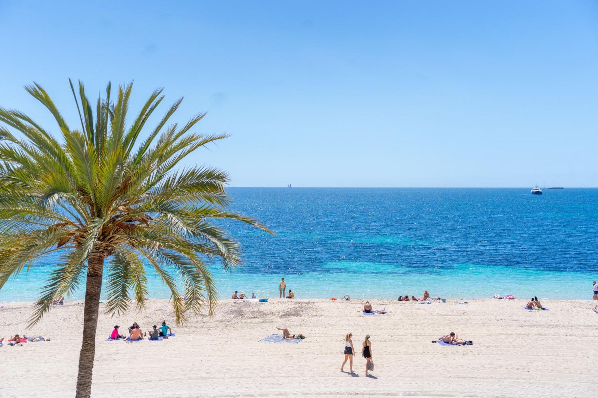 Hotel Spa Flamboyan - Caribe Magaluf  Buitenkant foto